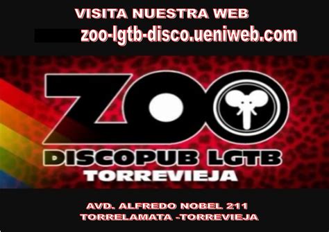 contactos gay torrevieja|Zoo LGTB Disco .